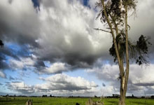 弗赖堡队主场不敌多特蒙德，遭遇连败