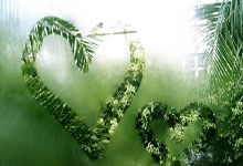 弗赖堡队主场不敌多特蒙德，遭遇连败