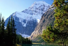 弗赖堡队主场不敌多特蒙德，遭遇连败