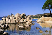 弗赖堡队主场不敌多特蒙德，遭遇连败