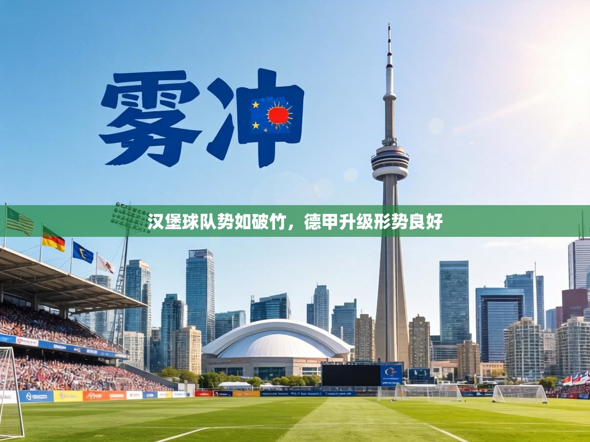 汉堡球队势如破竹,德甲升级形势良好 第2张