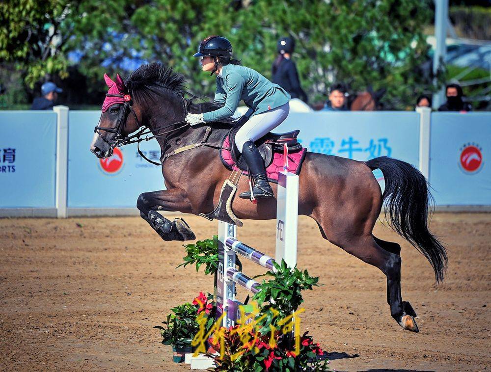 西班牙马术选手稳定表现，晋级决赛