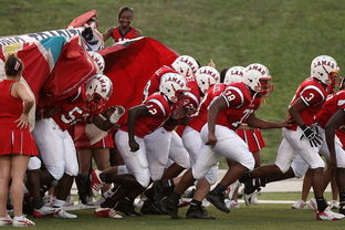 76人队紧随榜首，实力不可小觑，76人队员